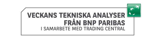 Newsletter Header