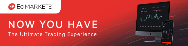 Newsletter Header